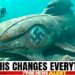 What Salvage Divers Found Inside Sunken Nazi Germany Submarine Will Leave You Speechless