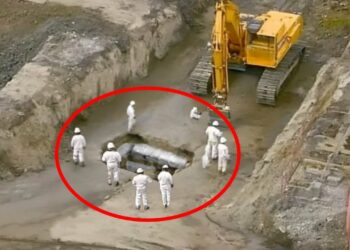 An Excavator Bursts Open Rock, Then Miners Discover Something Shocking
