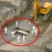 An Excavator Bursts Open Rock, Then Miners Discover Something Shocking