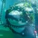 Giant Great White Shark Eaten By MONSTER Mystery Finally Solved