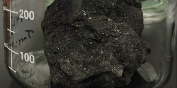 All of the bases in DNA and RNA have now been found in meteorites