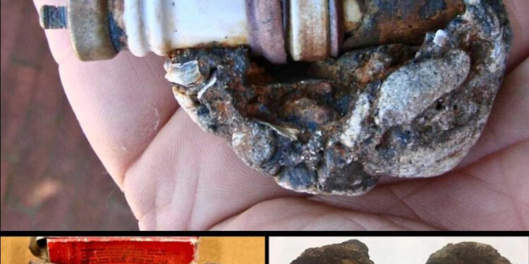 Proof of alien visitors? Artifact from an ancient civilization? The truth is out there — in Seattle