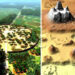 Ancient Ruins Of 15 Lost Cities With a Cosmic Link Finally Discovered In Amazon Jungle