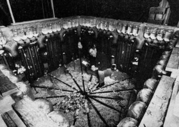 The Universe 25 Experiment: When Utopia Turned Into Collapse