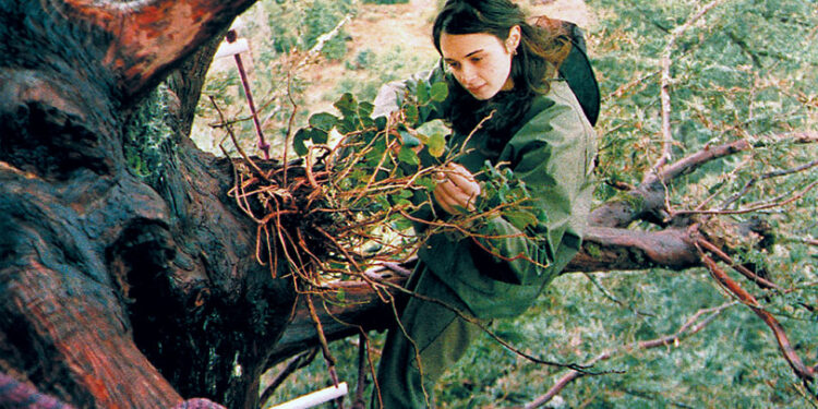 Incredible Story of Julia ‘Butterfly’ Hill: She Spent 738 Days in a 180-Foot-Tall Tree to Protect It from Being Cut Down