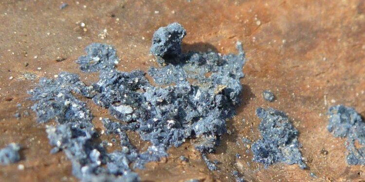 The Vivid Blue Mineral That Grows on Buried Bodies and Confuses Archaeologists