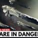 1 MINUTE AGO: Oumuamua just turned back and IT’S NOT ALONE
