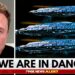 Elon Musk: “Oumuamua Has Suddenly Returned and It’s Not Alone”
