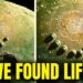 NASA: ALIEN Civilization Spotted on Proxima B – Signal Confirms It!
