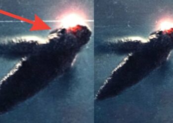 Michio Kaku Warns: 3I/ATLAS Could Be Something Far Stranger Than a Comet!