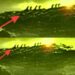 James Webb Telescope Finally Shows Us 3I/ATLAS Real Image The New ‘Oumuamua’