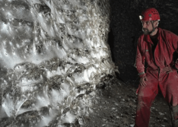 World’s biggest spiderweb discovered inside ‘Sulfur Cave’ with 111,000 arachnids living in pitch black