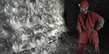 World’s biggest spiderweb discovered inside ‘Sulfur Cave’ with 111,000 arachnids living in pitch black