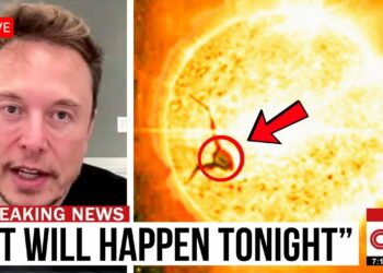 COSMIC CATASTROPHE: The Sun Is Cracking Open and Scientists Warn It Could DESTROY EVERYTHING Within 2 Weeks — Elon Musk Says “When it starts tonight… nothing will SURVIVE!”
