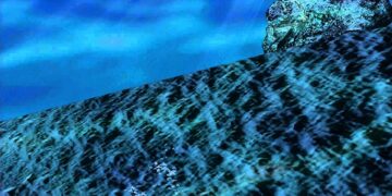 Body of missing Lake Tahoe diver found 17 years later