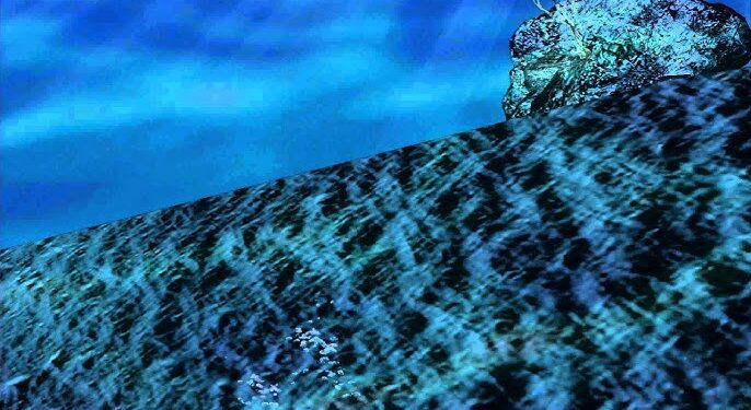 Body of missing Lake Tahoe diver found 17 years later