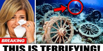 Divers Just Found a 1.5-Mile Chariot Graveyard in the Red Sea — and It Changes Everything  The Curious Mind