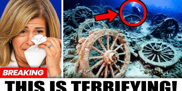 Divers Just Found a 1.5-Mile Chariot Graveyard in the Red Sea — and It Changes Everything  The Curious Mind