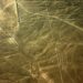 The Enigma of the Nazca Lines: Strange Theories and Unanswered Questions