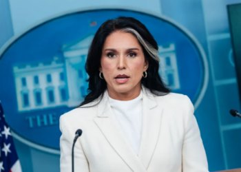 Intelligence Chief Tulsi Gabbard shares belief in aliens, vows to ‘share the truth’ on UFOs