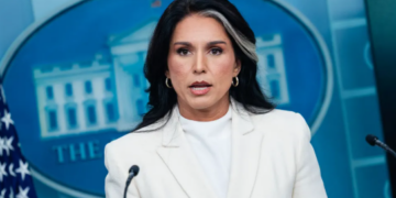 Intelligence Chief Tulsi Gabbard shares belief in aliens, vows to ‘share the truth’ on UFOs