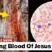 We Tested The Blood of Jesus — Israel Is In Shock