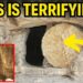 TOMB UNSEALED AFTER 2,000 YEARS: Lazarus’ FINAL RESTING PLACE OPENS—Experts LEFT SHAKEN!