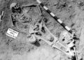 Echoes from Baikal: Ancient DNA Rewrites the History of Human Pandemics